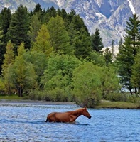 Mahodand Lake Swat - Pakistan